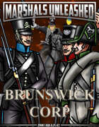 The Brunswick corp