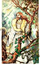 Druid in the Forest clip art image