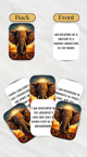 453261-thumb80.png