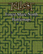 Forest Maze North Battlemap