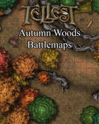 Autumn Woods Battlemap