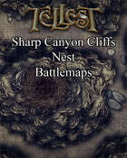 Sharp Canyon Cliffs Nest Battlemap