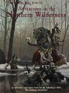 Palladium RPG Book IV: Adventures in the Northern Wilderness - 1st Edition Rules