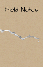 A Construct's Nature: Replay Journal, Nature