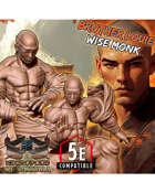 Brother Louie the Monk - Fantasy Collectors Miniature
