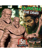 Ilumatar the Druid - Fantasy Collectors Miniature (commercial license)