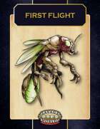 First Flight