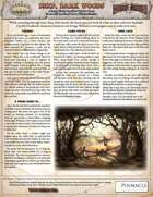 Deadlands Reloaded: One Sheet - Deep, Dark Woods