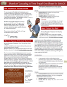 Shards of Causality: A Time Travel One Sheet for SWADE