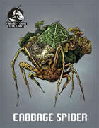 Publisher's Choice Stock Art - Cabbage Spider