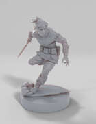 The Widow's Web Champion: Rogue