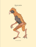 Quillkin