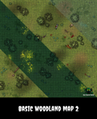Basic Woodland Map 2