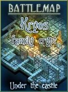 Battlemap - Kryos family crypt