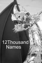 12Thousand Names