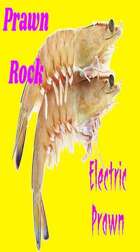 Electric Prawn - Prawn Rock mp3 collection