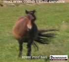 Magic Item: The Stone Pony Bag