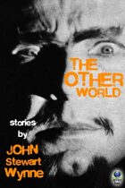 The Other World: Stories by John Stewart Wynne