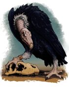 Stock Art: Vulture