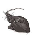 Stock Art: Boneless Leech Rat