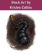 Stock Art: Giant Centipede
