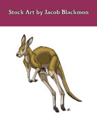 Stock Art: Kangaroo