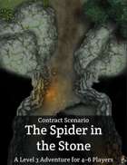 Contract Scenario – The Spider in the Stone