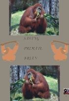 Saving Primate Brian