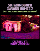 50 Abandoned Suburb Homes 3