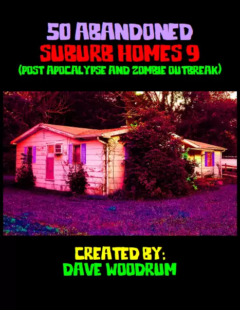 50 Abandoned Suburb Homes 9