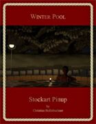 Winter Pool : Stockart Pinup