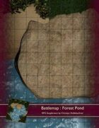 Battlemap : Forest Pond