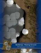 Battlemap : Nesting Ground