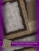 Battlemap : Misty Underground Passage
