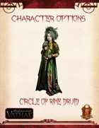 Vathak 5e Character Options - Circle of the Rime Druid