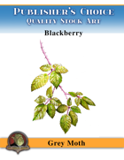 Publisher's Choice - Gray Moth -  Blackberries