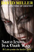 Saito Izumi, In A Dark Way