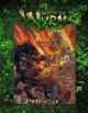 W20 Book of the Wyrm