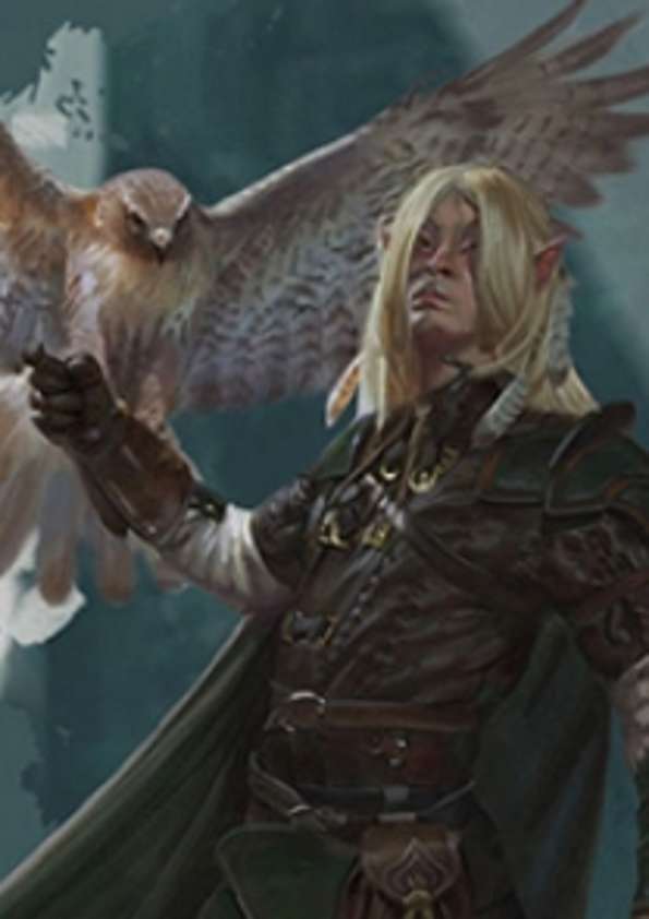 Pregen Characters: High Elf Wizard (5e) - Wizards of the Coast