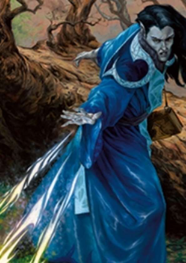 Pregen Characters: High Elf Wizard (5e) - Wizards of the Coast