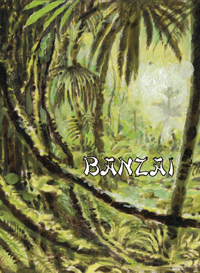 WARGAME EXTENSION DU JEU UP FRONT BANZAÏ ÉDITE PAR AVALON HILL 1983 VO