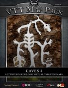 VTT MAP PACK: Caves 4