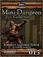 Mini-Dungeon #015: Torment at Torni Tower