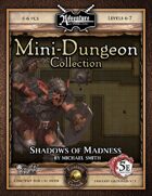 5E Mini-Dungeon #017: Shadows of Madness (Fantasy Grounds)