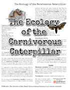 Ecology of the Carnivorous Caterpillar