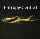 entropy-central.net