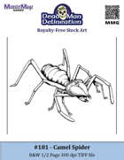 181 - Camel Spider (b&w, 1/2 page)