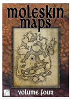 Moleskin Maps 04