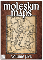 Moleskin Maps 05