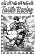Turtle Racing: A Slightly Less Grim & Perilous Supplement - Zweihander RPG
